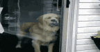 :konk: :konk: