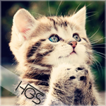 HGS avatar