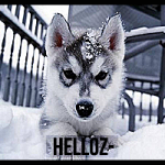 Helloz- avatar