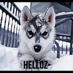 Helloz-