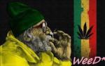 WeeD* avatar