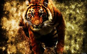 The_Tiger