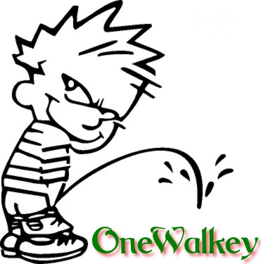 OneWalkey avatar