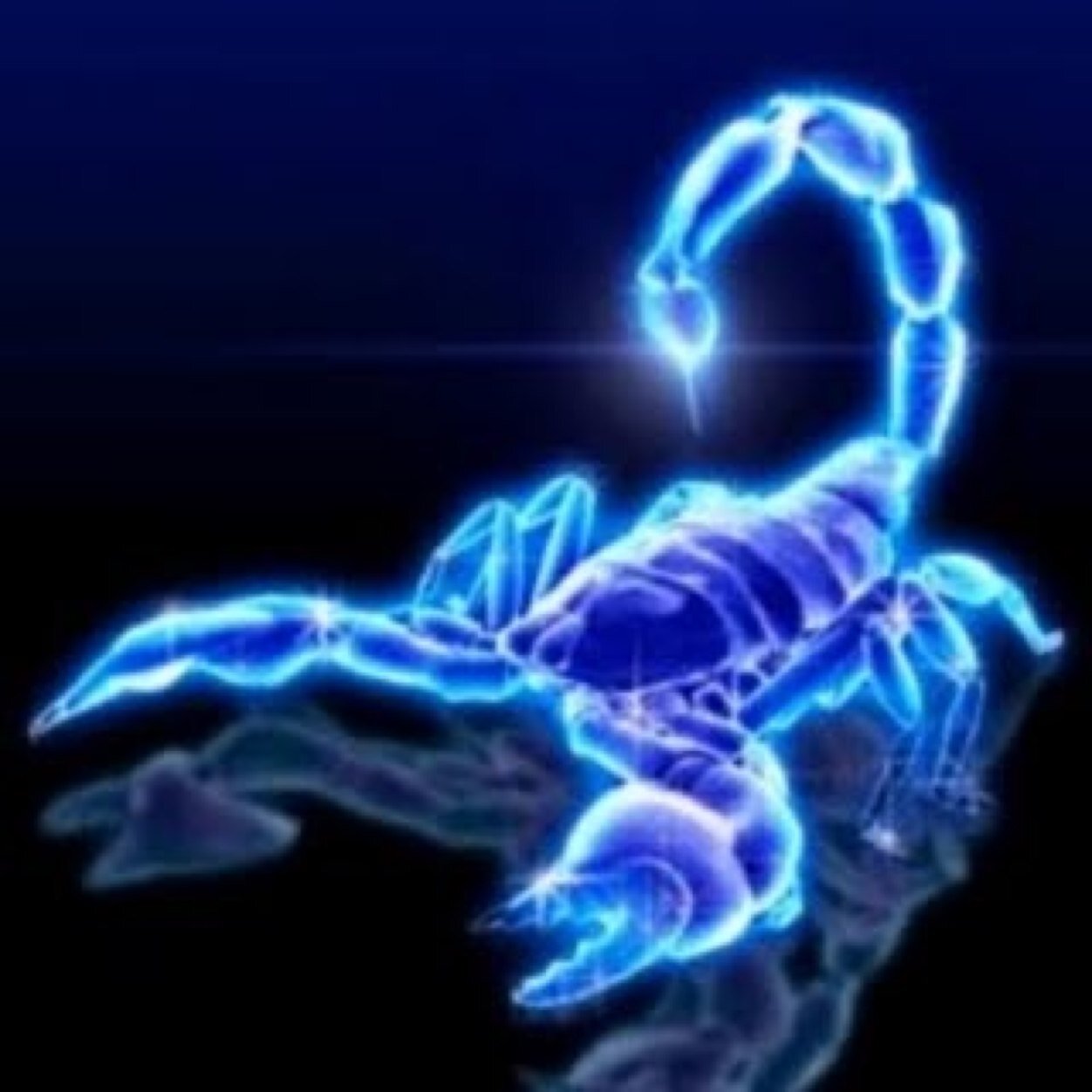 -ScorpioNn- avatar