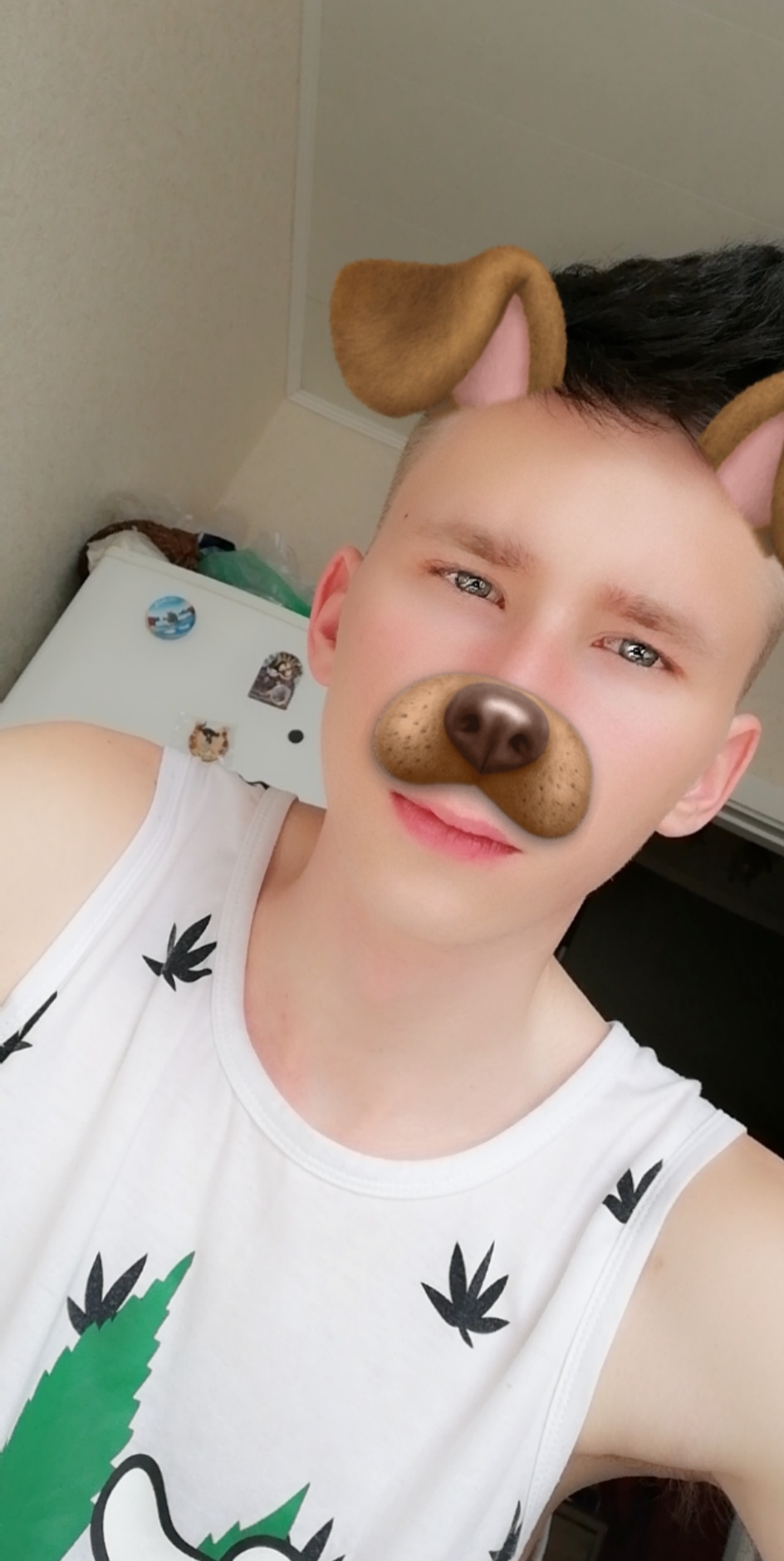 FILTERO avatar