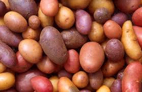 Image result for potato