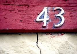 Image result for 43