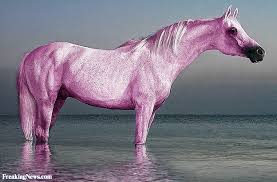 AttÄlu rezultÄti vaicÄjumam âpink horseâ