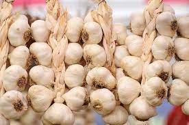 How to Plant, Grow and Harvest Garlic