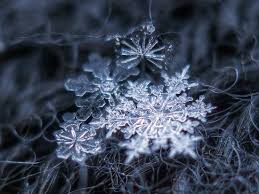 Photos of snowflakes up close