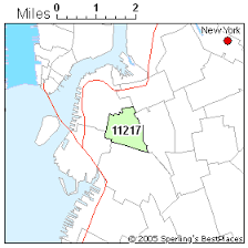 Zip 11217 (New York, NY) Crime