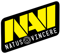 Image result for NaVi