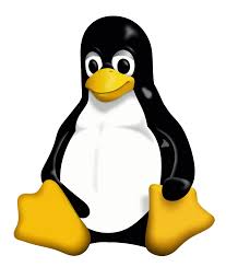 Attēlu rezultāti vaicājumam “linux penguin”