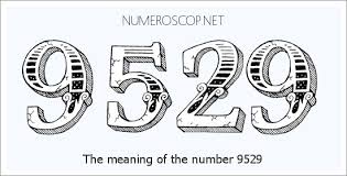 Meaning of 9529 Angel Number - Seeing 9529 - What does the number ...