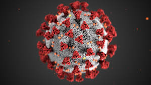 Where did the red and gray coronavirus image come from and why ...