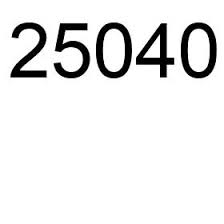 25040 number facts, meaning and properties