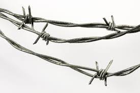 Barbed Wire Manufacturer in durg Chhattisgarh India by Shri Durga  Enterprises | ID - 2501162