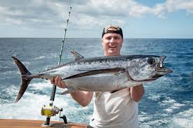 Tuna Fishing: Top Species and Where To Catch Them