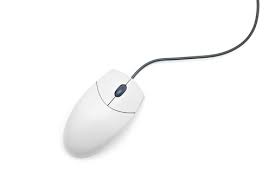 Image result for computer mouse