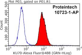 KU70 Antibody 10723-1-AP | Proteintech