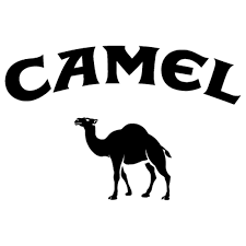 AttÄlu rezultÄti vaicÄjumam âlogo with camelâ