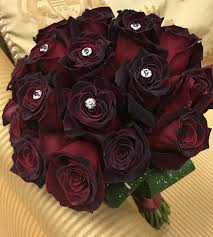 Bildresultat fÃ¶r dark red roses