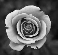 100,000+ Best Black-and-white Photos · 100% Free Download ...