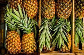 What Are Pineapples?