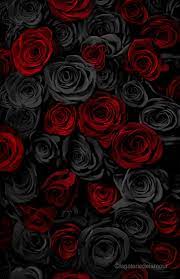 Black and Red Roses - lagaleriedelamour