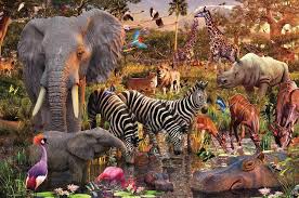 Ravensburger Puzzle African Animals 3000pcs - Ksenukai.lv