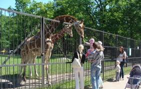 Attēlu rezultāti vaicājumam “zoo park”