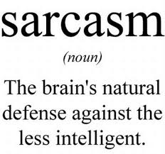 Image result for sarcasm