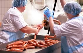 Image result for sausage factory