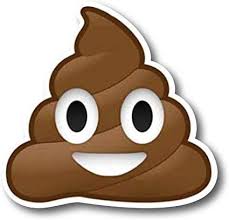 Amazon.com: Poop Emoji Magnet Decal Perfect for Car or Truck: Automotive