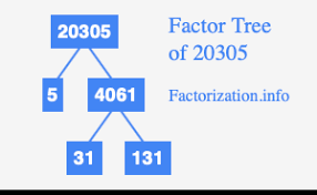Prime Factors of 20305