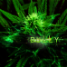 duLLy-